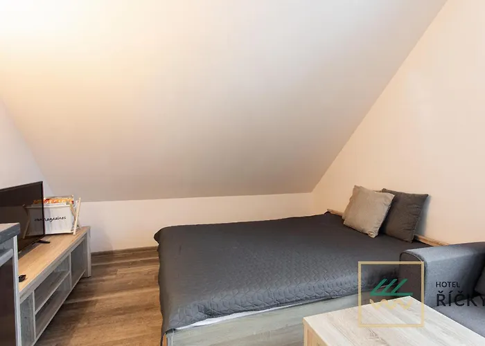 Pod Zakletým - Apartmán Říčky